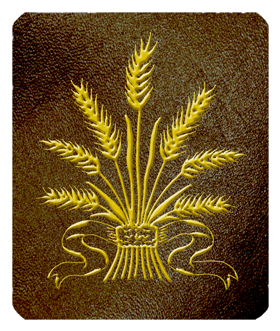 ANEW WHAT br gd PROOF